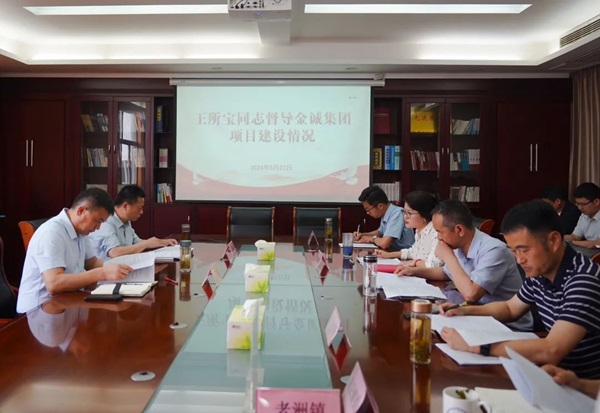 王所寶督導(dǎo)金誠(chéng)集團(tuán)項(xiàng)目建設(shè)情況